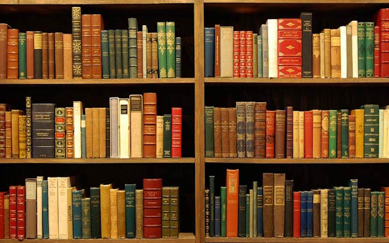 Bookshelf with books