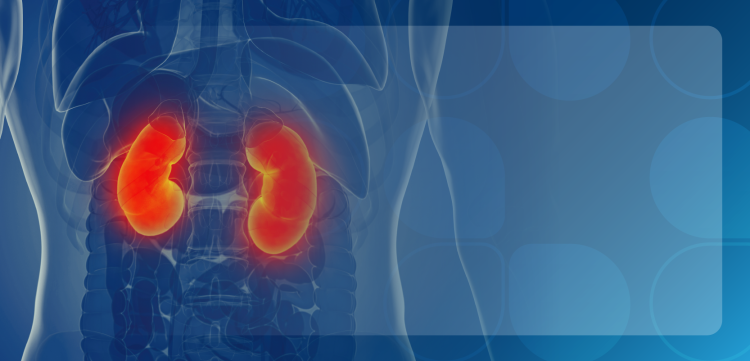 kidney image on blue background