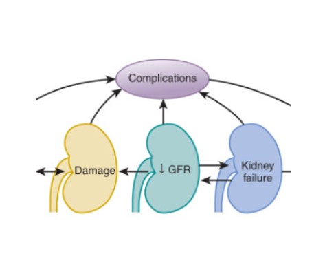 progression of kidney failure