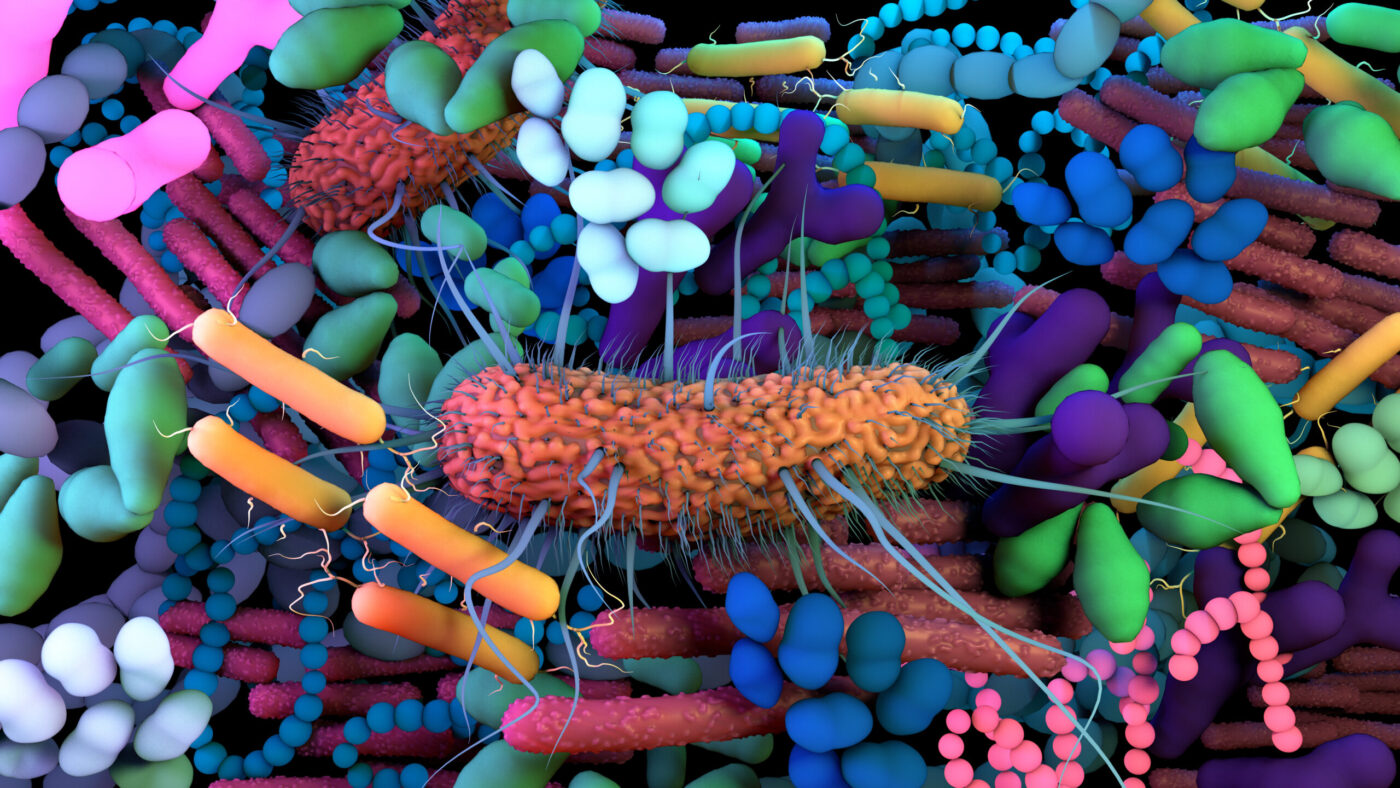 Gut microbiome