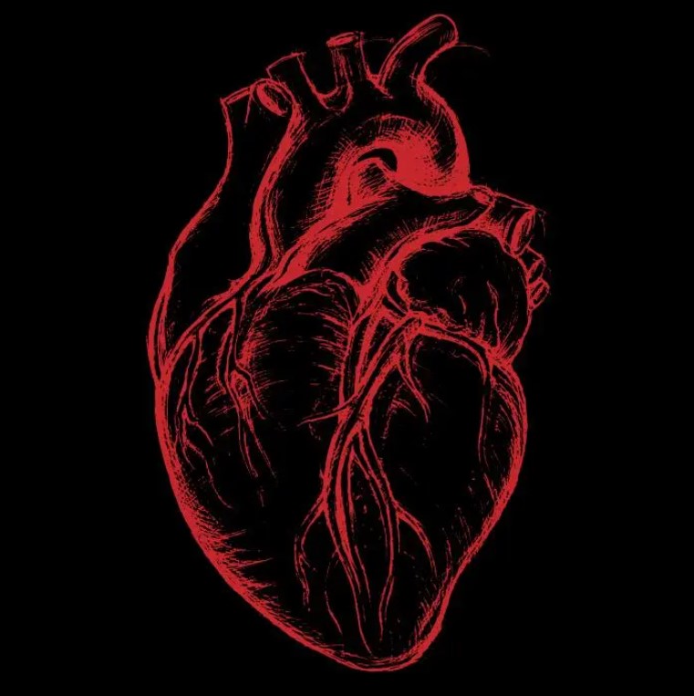 Heart graphic