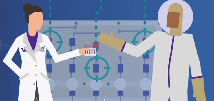 kidney chip animation