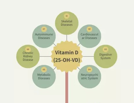 25 hydroxyvitamin D health impacts chart