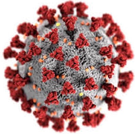 Covid 19 virus