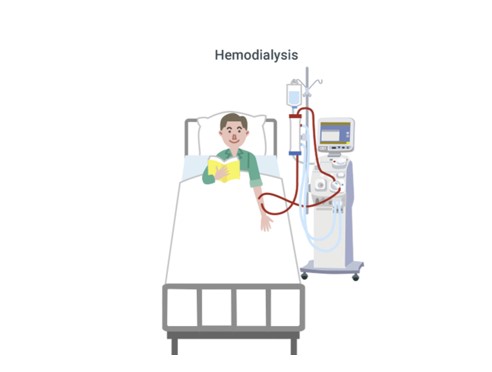 Hemodialysis patient