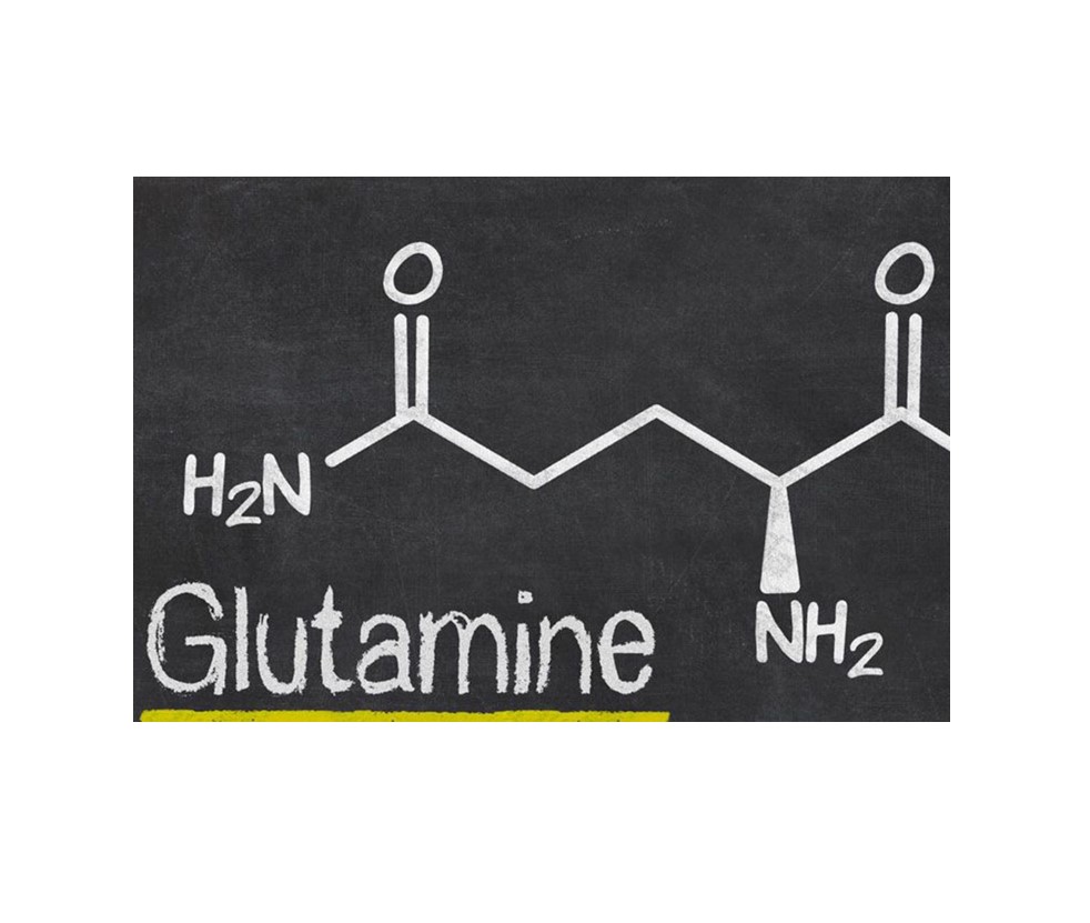 Glutamine