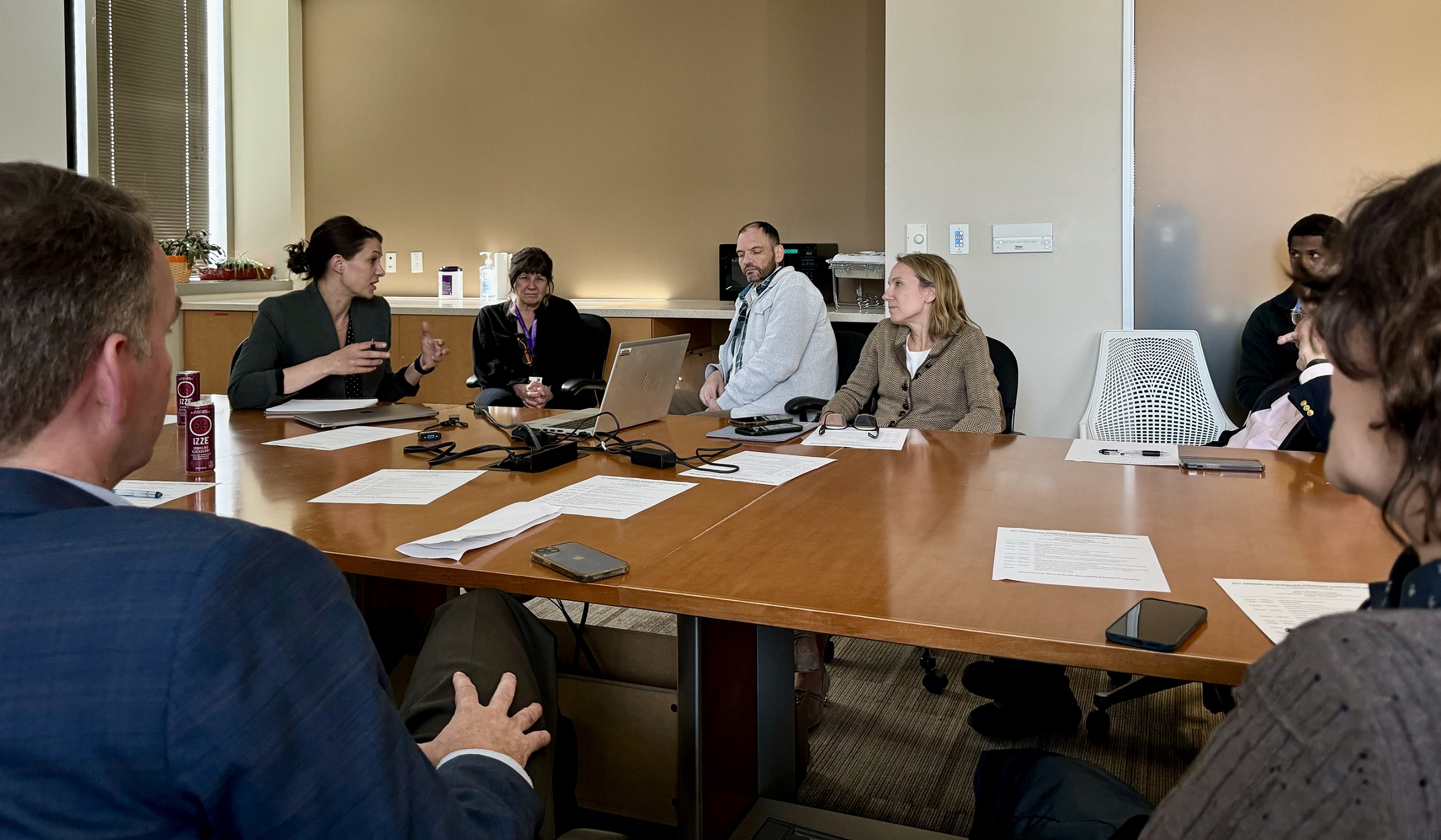 people in a meeting