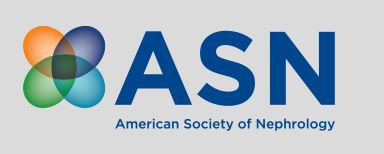 ASN logo
