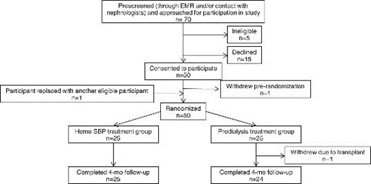 BOLD study image