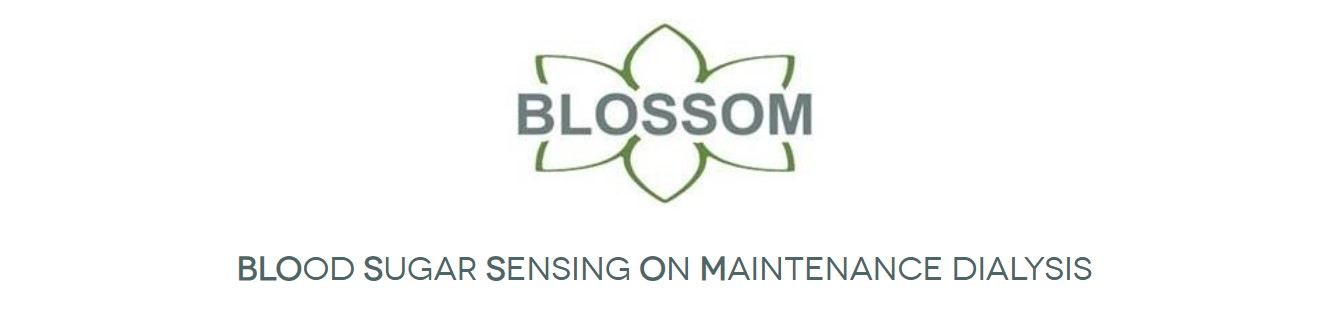 Blossom logo