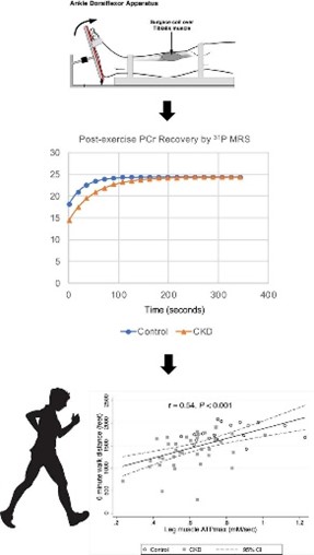 MEND study image