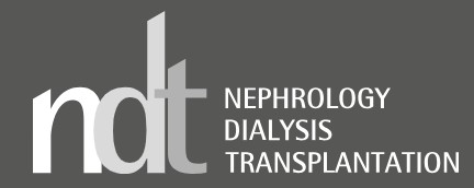 NDT logo