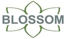 Blossom logo