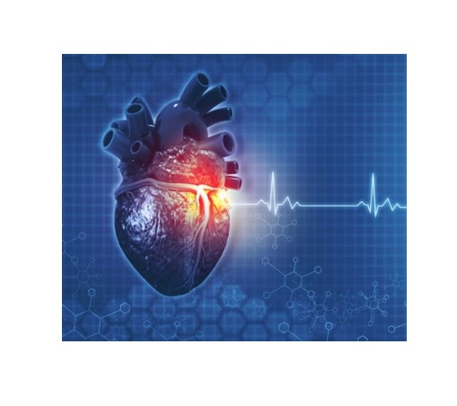 afib heart image
