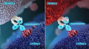 tegoprubart micro image